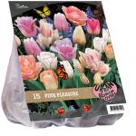 Baltus Urban Flowers Pink pleasure bloembollen per 15 stuks